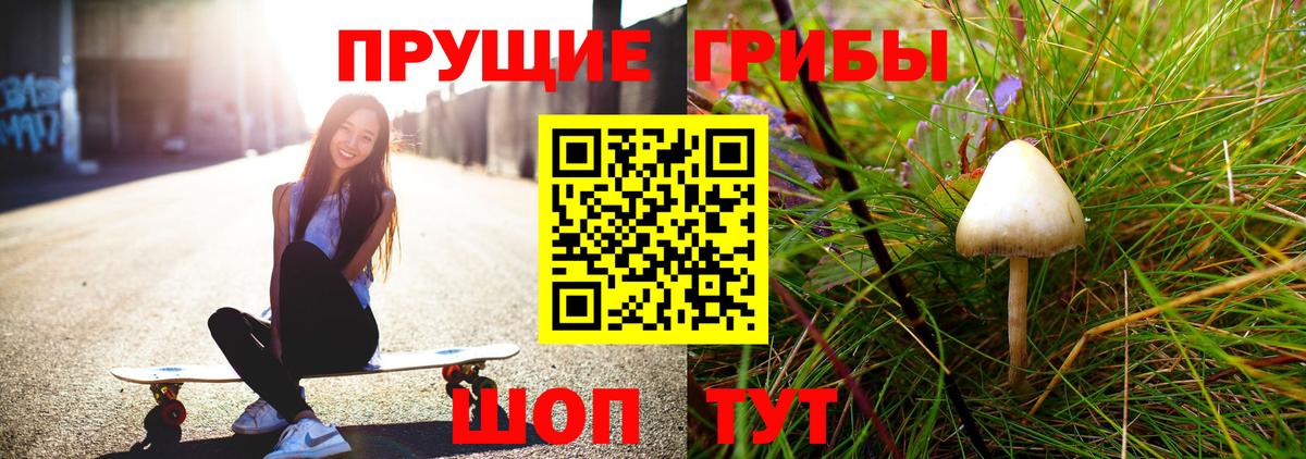 Псилоцибиновые грибы мухоморы  Вход с VPN  Галлюциногенные грибы GOLDEN TEACHER  где можно купить   Старая Купавна 